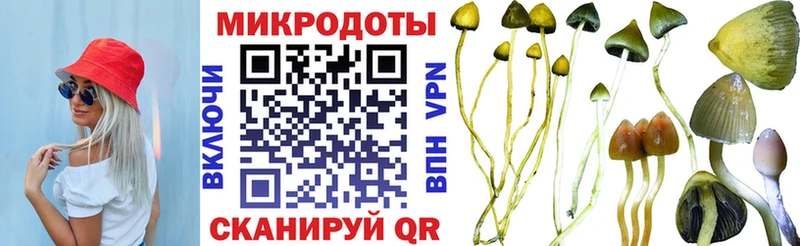 Галлюциногенные грибы мицелий  даркнет сайт  мега зеркало  Балашов 